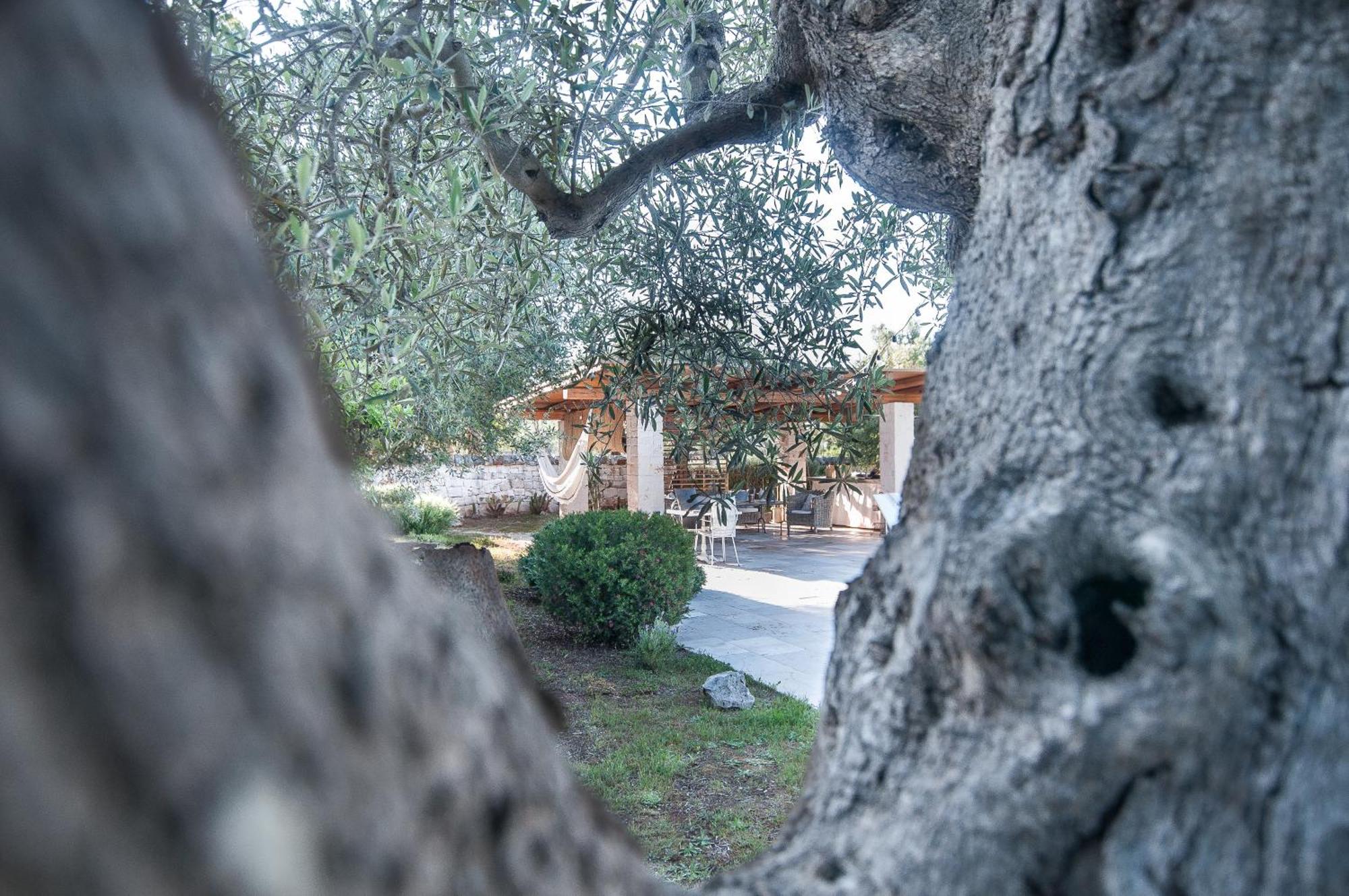 Vila Il Trullo Di Ben Locorotondo Exteriér fotografie